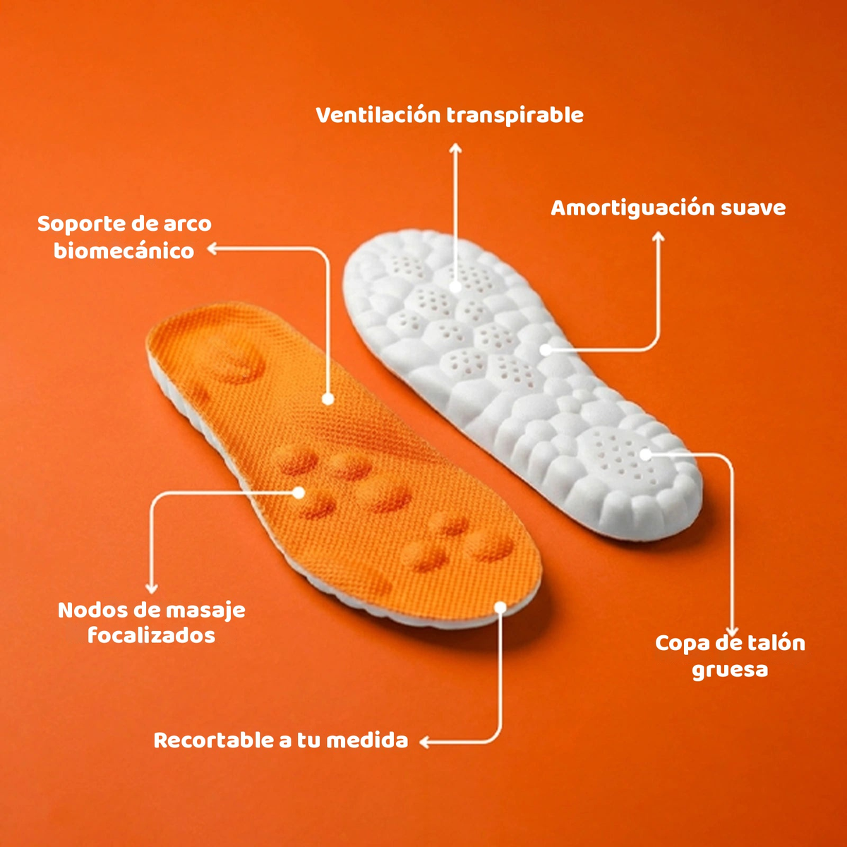 Características de las plantillas de masaje